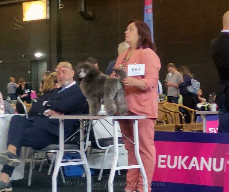 klik om te vergroten Bella op de IDS Pinkstershow in Gorinchem, 28 mei 2023