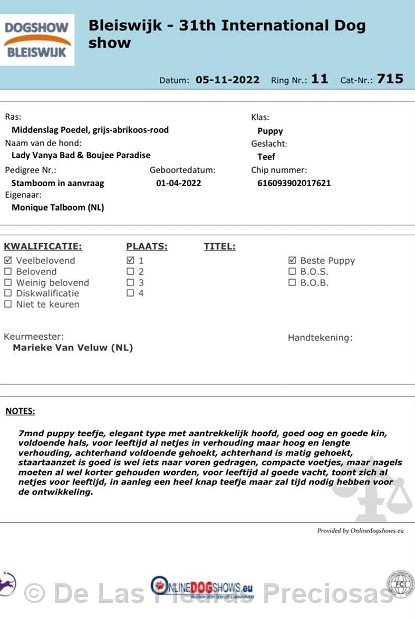 klik om te vergroten Hondenshow te Bleiswijk, 5 november 2022