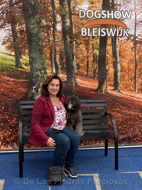 klik om te vergroten Hondenshow te Bleiswijk, 5 november 2022