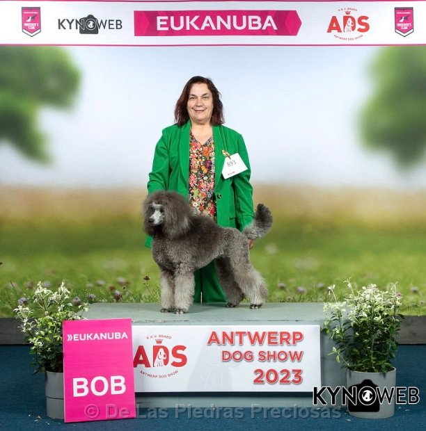 klik om te vergroten IDS Antwerpen (België), 16 april 2023