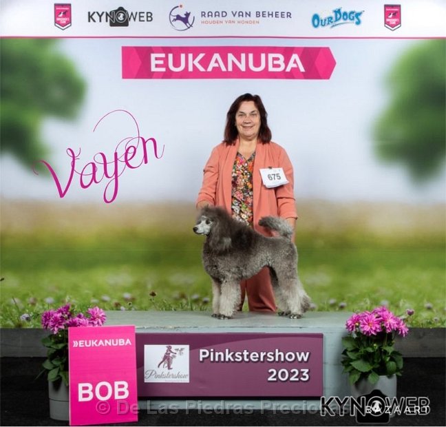 klik om te vergroten Vayen op de IDS Pinkstershow in Gorinchem, 28 mei 2023