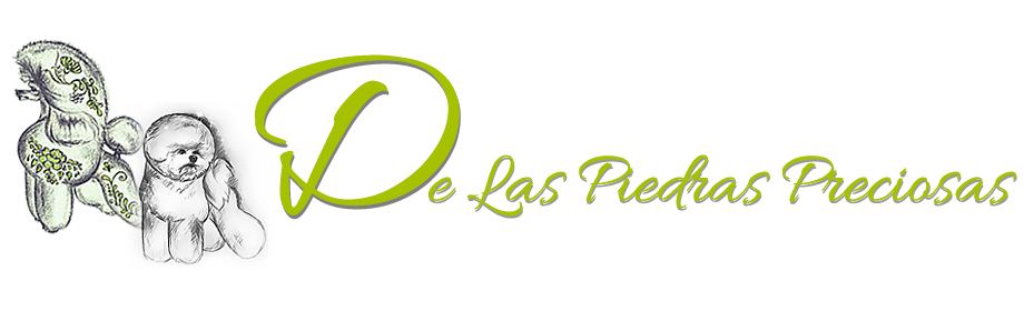 Logo Bichon Frisé en poedel kennel De Las Piedras Preciosas