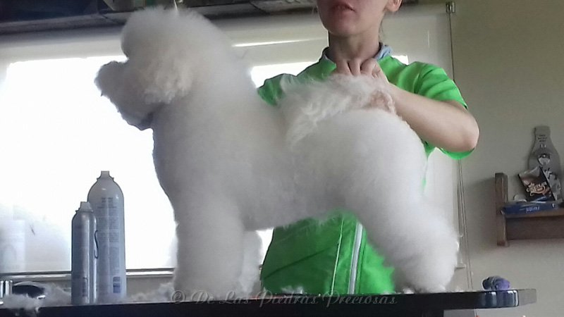 20170611_184941_resized