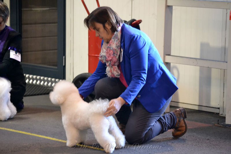 42e Schaal der Kempen (België), 2de plaats Uitmuntend