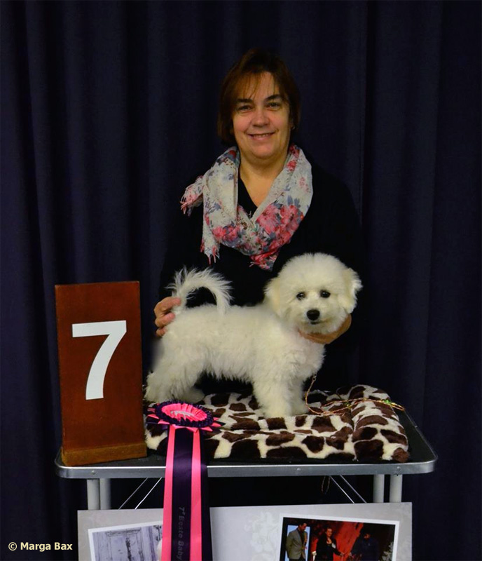 klik om te vergroten Kampioenscubmatch