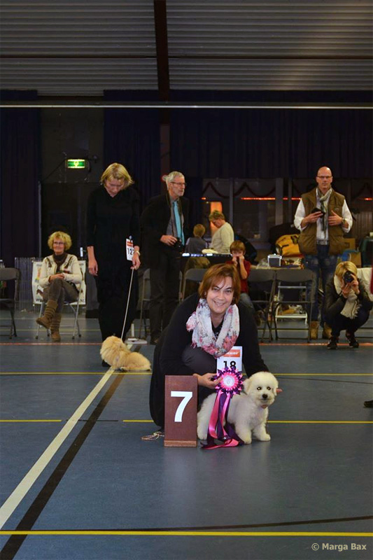 klik om te vergroten Kampioenscubmatch