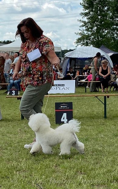 klik om te vergroten Hondenshow te Utrecht, 3 juli 2022