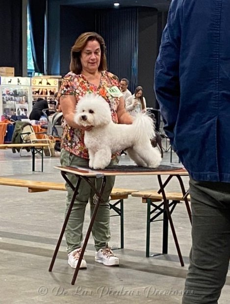 klik om te vergroten Lennox op de Dogshow Rotterdam, 28 augustus 2022
