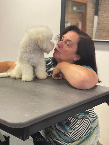 bad3c8ac-6c12-40e8-93ab-ea5df023cba7