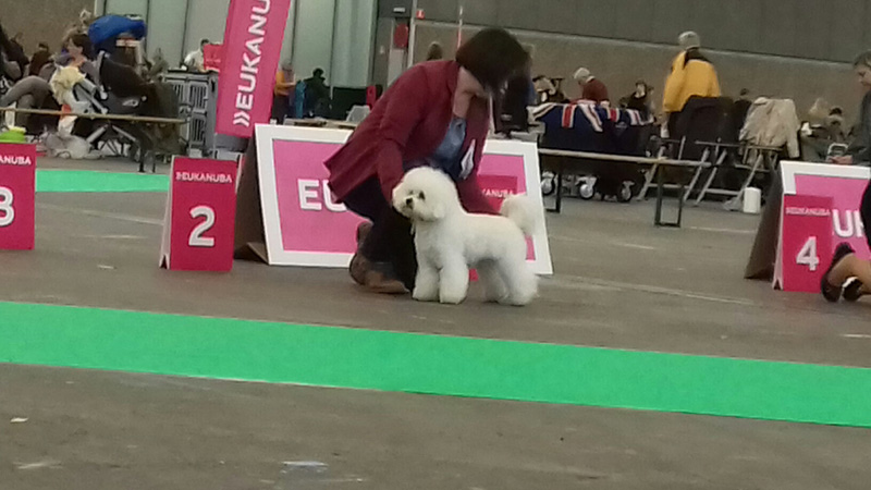 klik om te vergroten Amsterdam Holland Cup