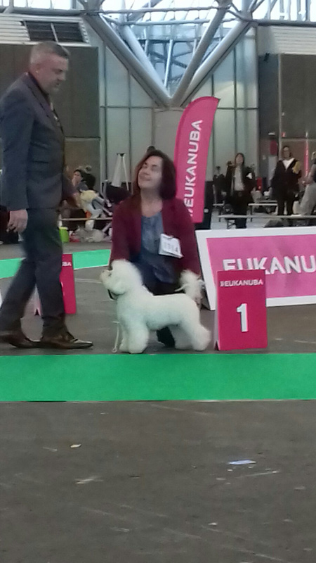 klik om te vergroten Amsterdam Holland Cup