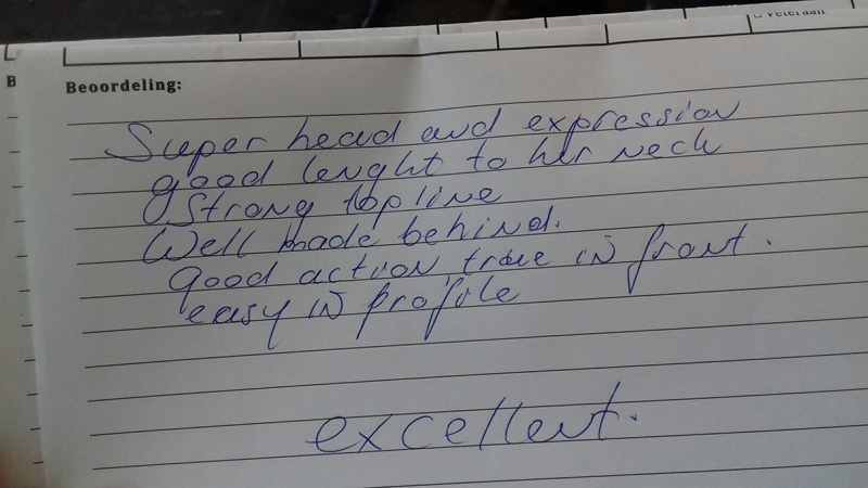 klik om te vergroten Amsterdam Holland Cup