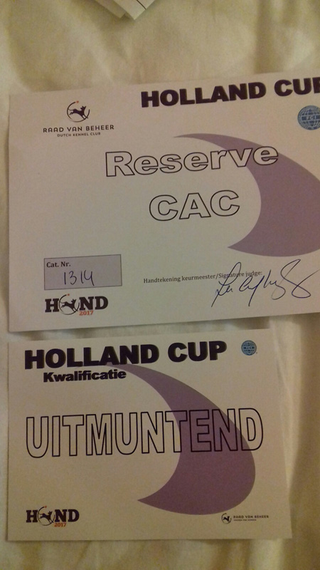 klik om te vergroten Amsterdam Holland Cup