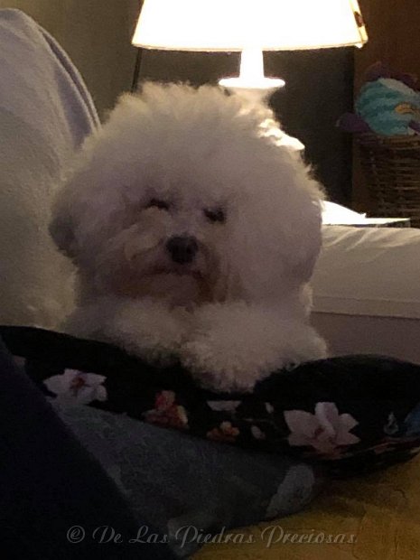 143928027_254726459343467_2192341301605155470_n