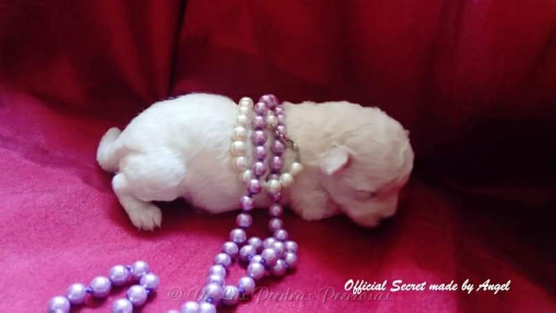 received_10216064050334257