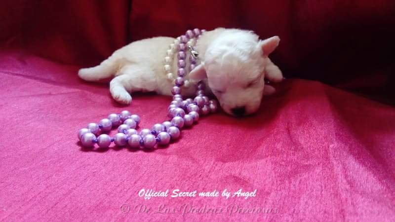 received_10216064050734267