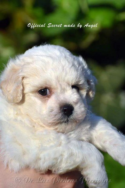 received_10216256249779123