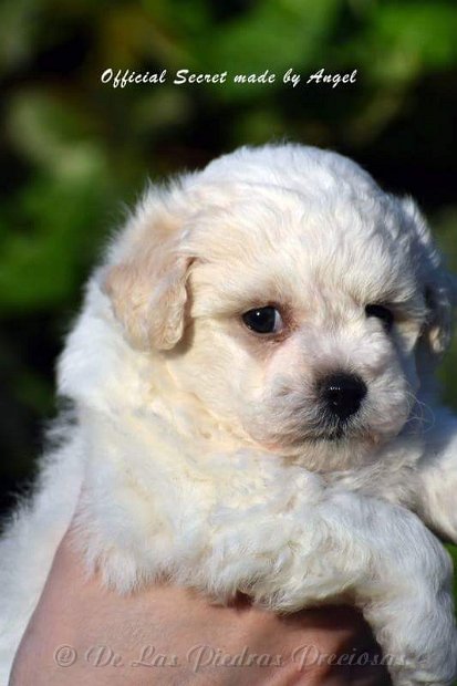 received_10216256249859125