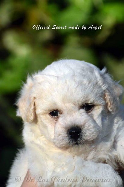 received_10216256250099131