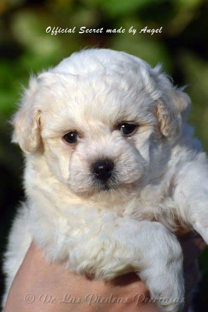 received_10216256250139132