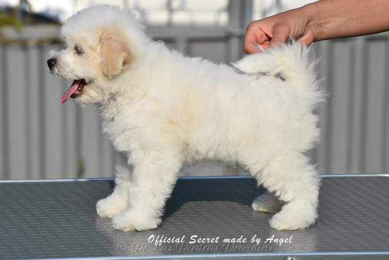 received_10216567045148813