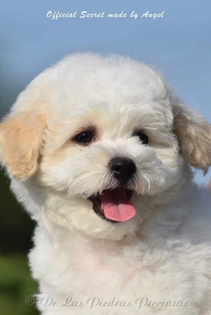 received_10216567045228815