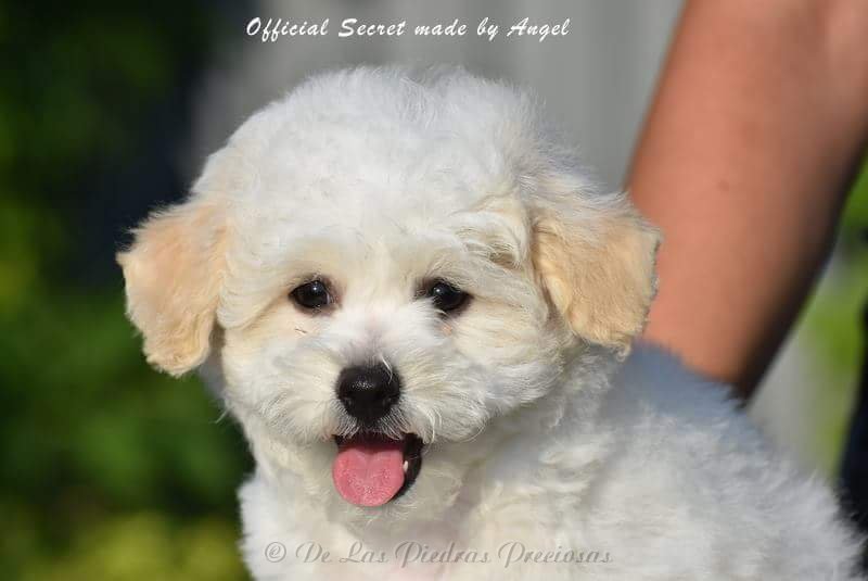 received_10216567045308817