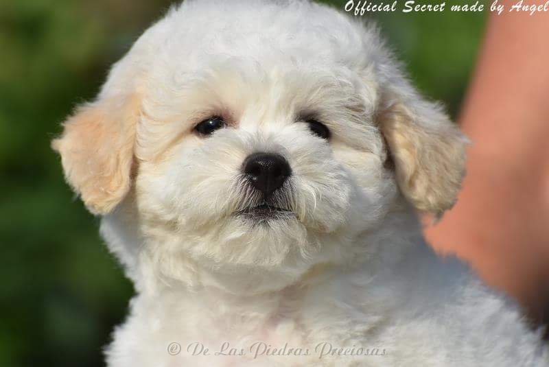 received_10216567045428820