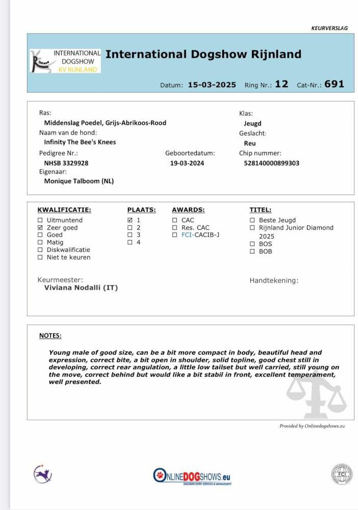 klik om te vergroten Certificaat van Finn op de Dogshow in Hazerswoude in maart 2025, zeer goed