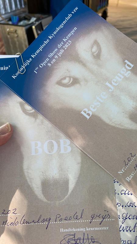 klik om te vergroten Vayen op de Show der Kempen in Turnhout (BE), 9 juli 2023