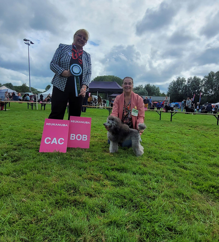 klik om te vergroten Bella op de Dogshow Rotterdam in Bergschenhoek, 6 augustus 2023