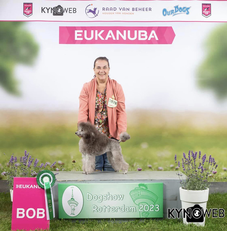 klik om te vergroten Bella op de Dogshow Rotterdam in Bergschenhoek, 6 augustus 2023