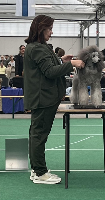 klik om te vergroten Vayen op de 32nd Dogshow Bleiswijk (22-10-2023)