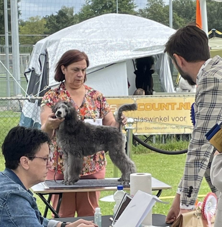 klik om te vergroten Finn op de Clubmatch in Apeldoorn (04-08-2024)