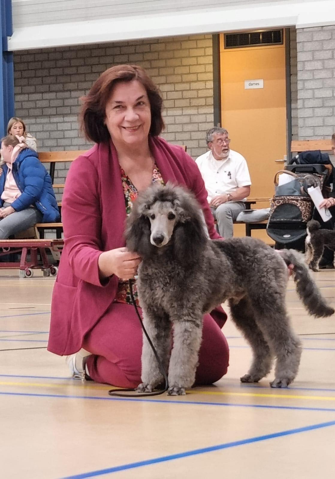 klik om te vergroten Vayen op de Clubmatch Poedel Club (06-10-2024)