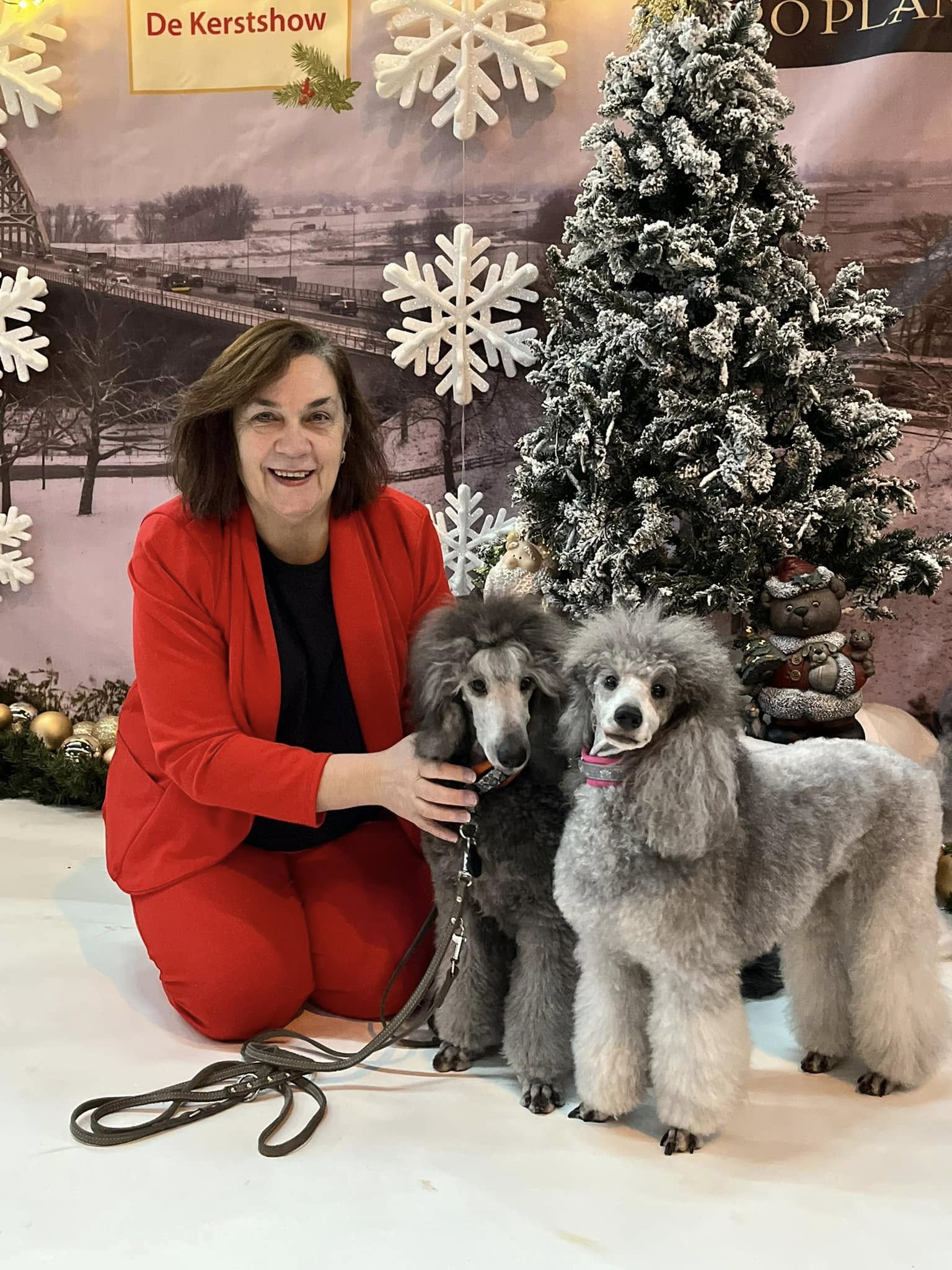 klik om te vergroten Vayen en Finn met Monique op de Kerstshow te Gorinchem (7-12-2024)