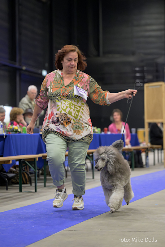 klik om te vergroten Monique en Finn in de erering