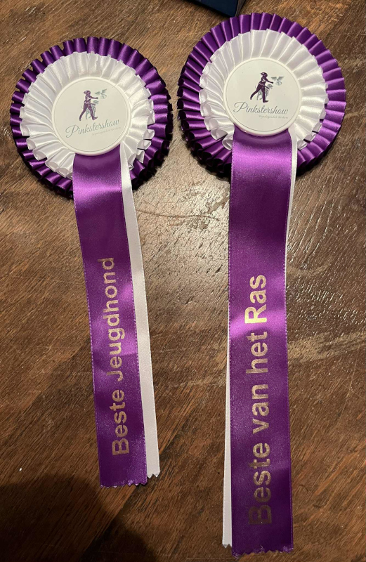 klik om te vergroten Twee paarse rozetten met witte accenten van de Pinkstershow, liggend op een houten ondergrond. De linker rozet heeft een lint met de tekst 'Beste Jeugdhond' en de rechter rozet heeft een lint met de tekst 'Beste van het Ras'. Beide rozetten tonen het logo van de Pinkstershow met een gestileerd figuur en een hond.