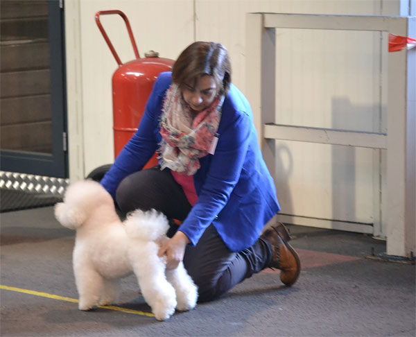 klik om te vergroten show Hoogstraten