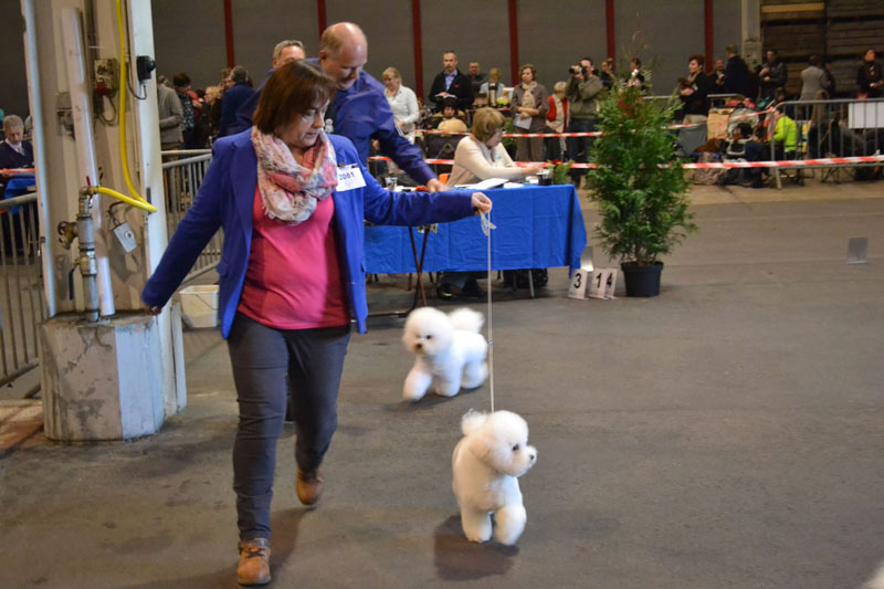 klik om te vergroten show Hoogstraten