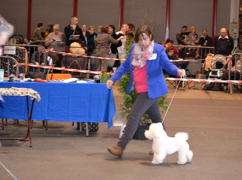 klik om te vergroten show Hoogstraten